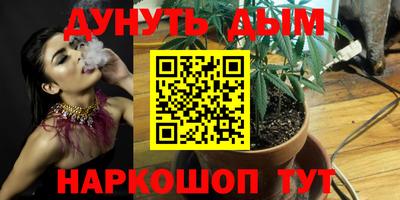 шишки Ипатово