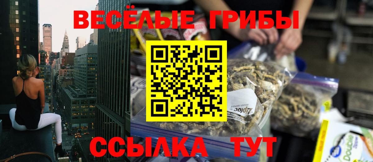 Псилоцибиновые грибы Psilocybe Калининград