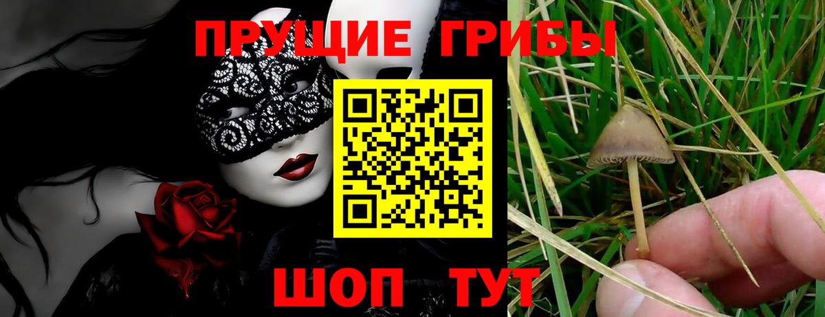 Калининград  Галлюциногенные грибы прущие грибы  Вход с VPN 